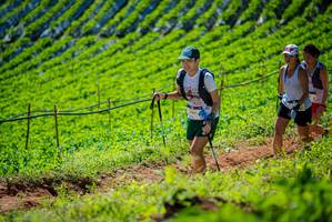 BIB: 201
                            <button type="button" onclick="openModal(19162689)" class="btn btn-primary btn-sm float-right btn-popup" data-toggle="modal" data-target=".modal-high-quality">
                        <i class="fas fa-shopping-cart"></i> Add to Cart
                    </button>
                                            <button type="button" onclick="isThisMe(19162689, true)" class="btn btn-success btn-sm float-right btn-popup btn-isme hidden" data-toggle="tooltip" data-placement="bottom" title="นี่คือรูปของคุณใช่ไหม คลิกที่นี่เพื่อเอาเข้าอัลบั้ม">
                        <i class="fas fa-plus"></i> Add to album
                    </button>
                    <button type="button" onclick="isThisMe(19162689, false)" class="btn btn-warning btn-sm float-right btn-popup btn-isnotme hidden">
                        <i class="fas fa-ban"></i> Remove from album
                    </button>